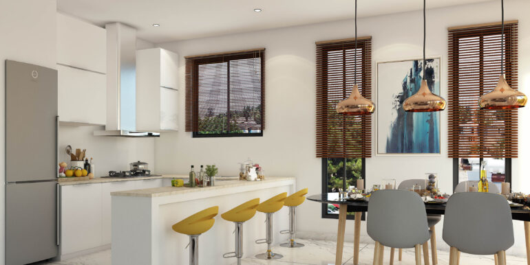 13. Kitchen&Dining Option_01