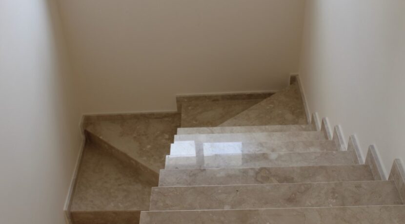 Picture6 (1)