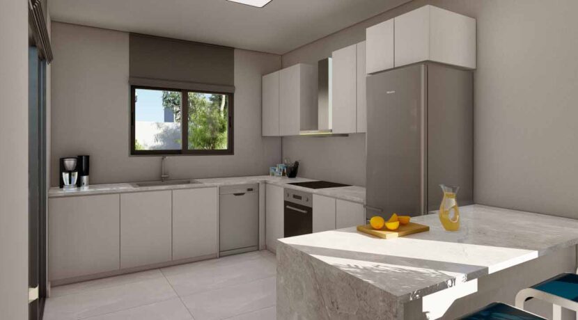 02_Aster_Gardens_V1_Type-C_Kitchen