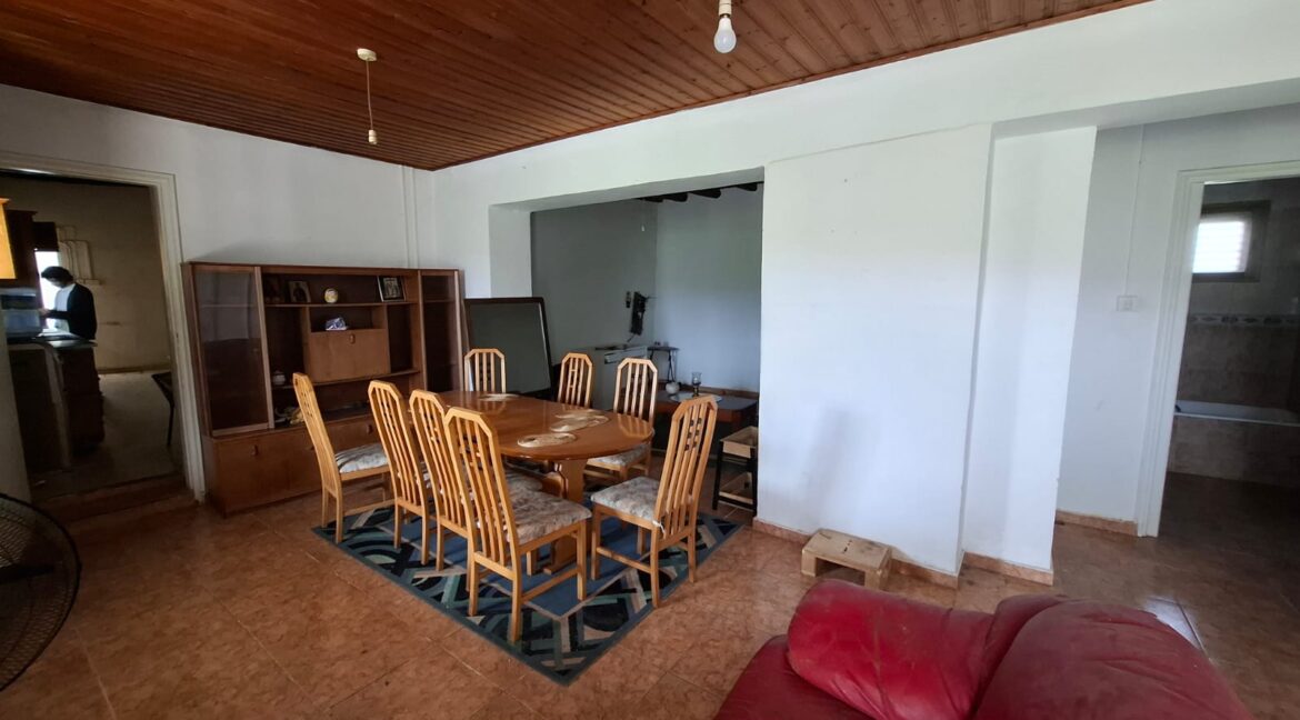 PHOTO-2026-03-19-12-22-10 (2)