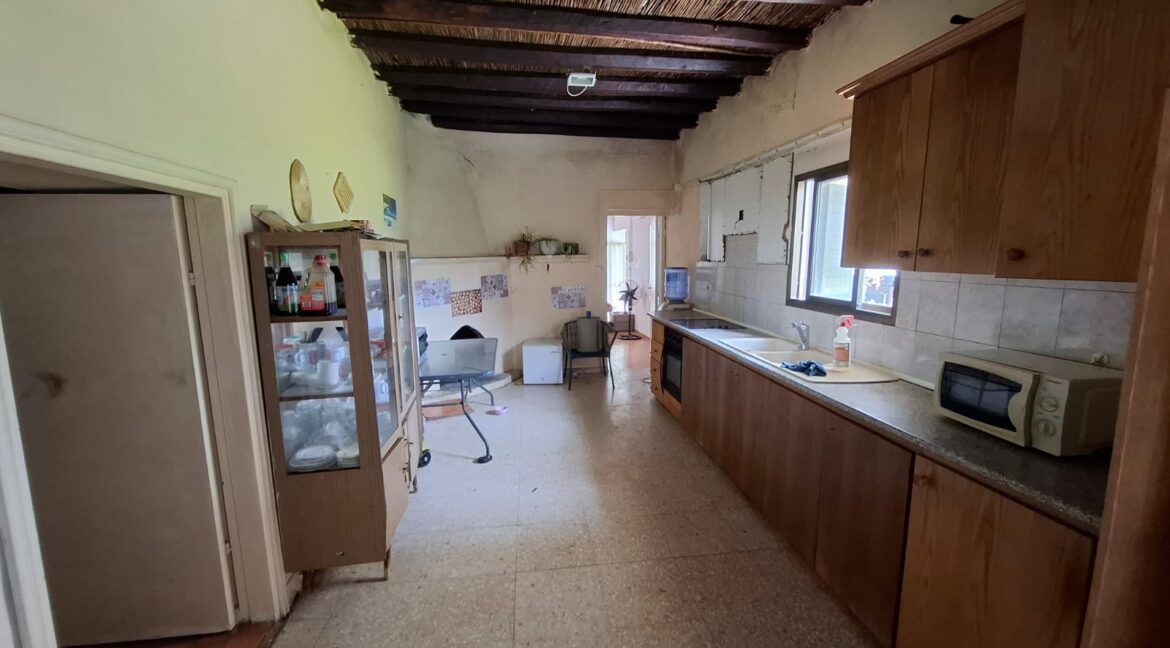 PHOTO-2026-03-19-12-22-10 (3)