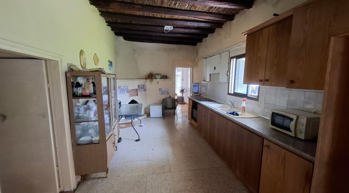 PHOTO-2026-03-19-12-22-10 (4)