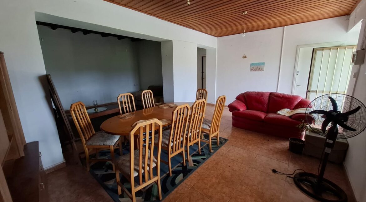 PHOTO-2026-03-19-12-22-10 (5)